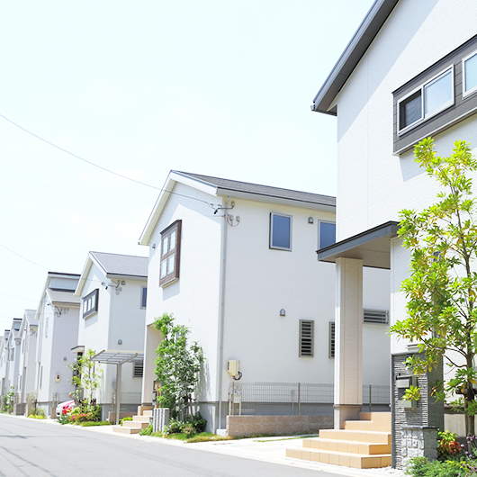 類焼損害費用保険